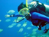 Nha Trang Diving Tour 